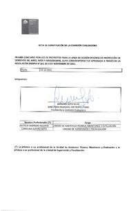 Acta de constitución de la comisión evaluadora del primer concurso público de proyectos para la línea de acción Oficinas de Protección de derechos del niño, niña y adolescente