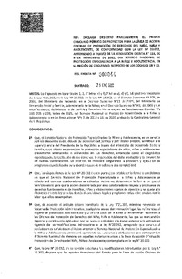 Resolución Exenta N° 44