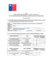 Acta Sesión N°10 Consejo de Expertos Extraordinaria