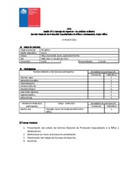 Acta Sesión N°13 Consejo de Expertos - de carácter Ordinaria