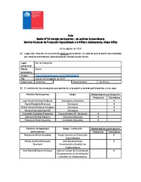 Acta Sesión N°13 Consejo de Expertos Extraordinaria