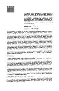 Resolución Exenta N° 1144