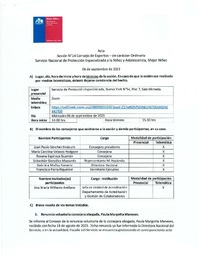 Acta Sesión N°14 Consejo de Expertos - de carácter Ordinaria