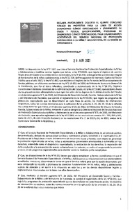Resolución Exenta N° 980