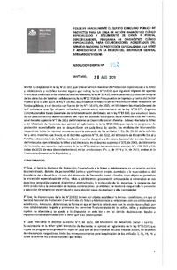 Resolución Exenta N° 983