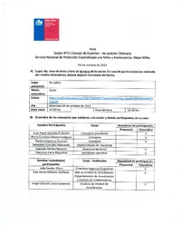 Acta Sesión N°15 Consejo de Expertos - de carácter Ordinaria