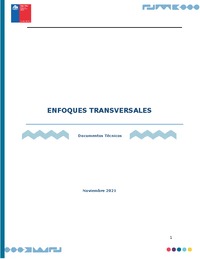 Anexo 13 Enfoques Transversales