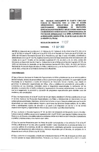 Resolución Exenta N° 1137