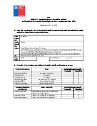 Acta Sesión N°17 Consejo de Expertos - de carácter Ordinaria