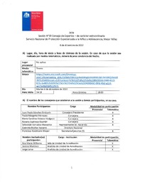 Acta Sesión N°19 Consejo de Expertos - de carácter Ordinaria