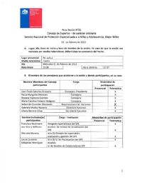 Acta Sesión N°2 Consejo de Expertos - de carácter Ordinaria