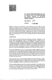 Resolución Exenta N°634 del 12 de septiembre de 2022 que rectifica la resolución exenta N°593, de 30 de agosto de 2022, de la dirección nacional del Servicio de Protección, en los términos que indica.