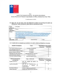 Acta Sesión N°20 Consejo de Expertos Extraordinaria