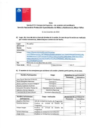 Acta Sesión N°21 Consejo de Expertos Extraordinaria