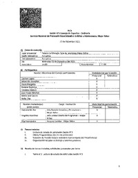 Acta Sesión N°4 Consejo de Expertos Ordinaria