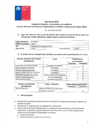 Acta Sesión N°5 Consejo de Expertos Extraordinaria