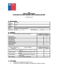 Acta Sesión N°9 Consejo de Expertos