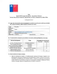 Acta Sesión N°9 Consejo de Expertos - de carácter Ordinaria