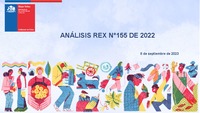 Análisis Resolución Exenta N°155 de 2022