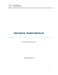 Anexo 13: Enfoques Transversales. Documentos Técnicos