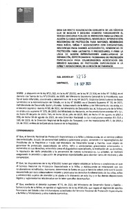 Resolución Exenta N° 1213