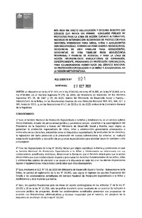 Resolución Exenta N° 821