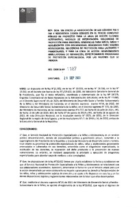 Resolución Exenta N° 1187