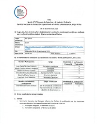 Acta Sesión N°17 Consejo de Expertos - de carácter Ordinaria