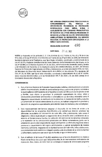 Resolución Exenta N° 490