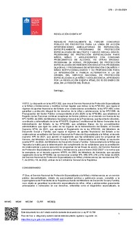 Resolución Exenta Nº378 que resuelve parcialmente el Tercer Concurso Público de Proyectos 2024 en la región de Ñuble