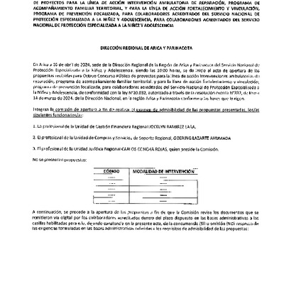 Actas de Apertura Octavo Concurso Público de Proyectos 2024