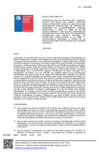 Resolución Exenta Nº491