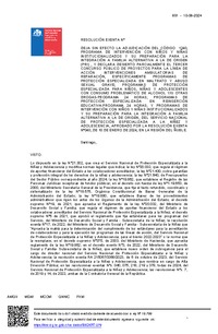 Resolución Exenta Nº691