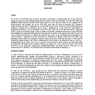 Resolución Exenta Nº1028