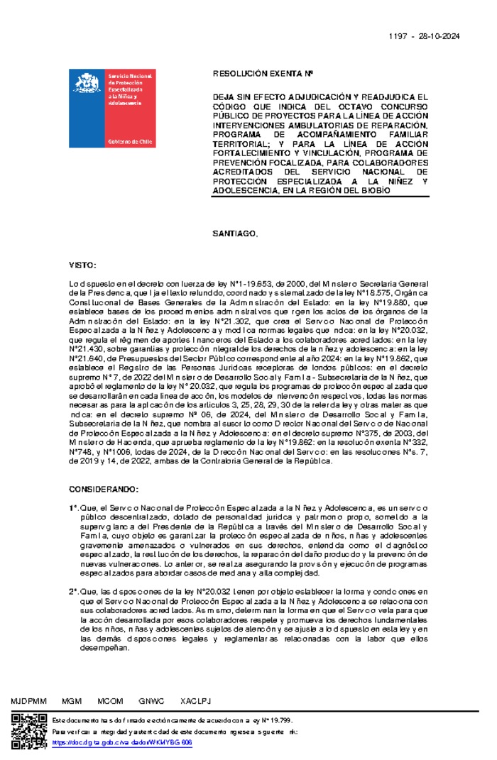 Resolución Exenta Nº1197