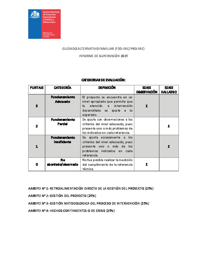 Informe Supervisión Familias de Acogida 2025