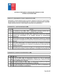 Informe Supervisión OPD Cierre 2025