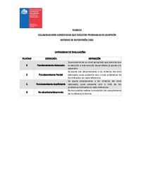 Rúbrica colaboradores ejecutores de programas de adopción 2025
