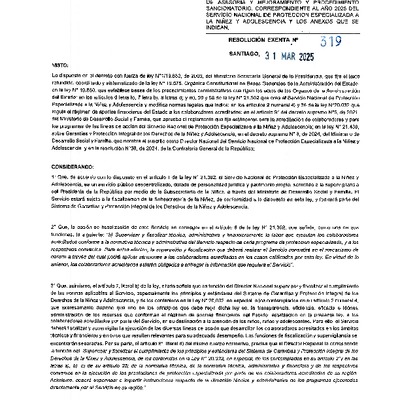 Lineamientos de Fiscalización 2025 REX 319/2025