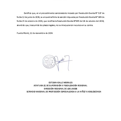 Sanción Firme- ONG Proyecta - PPF HUIHUEN