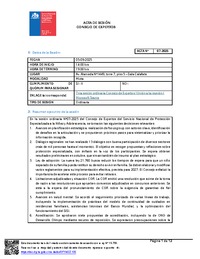 Acta Sesión N°7-2025 Consejo de Expertos