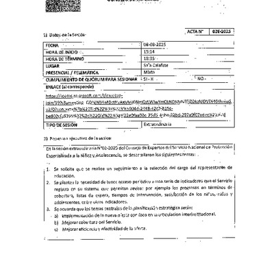 Acta Sesión N°2 Extra-2025 Consejo de Expertos