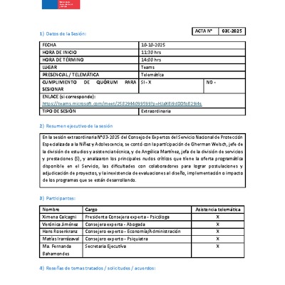 Acta Sesión N°3 Extra-2025 Consejo de Expertos