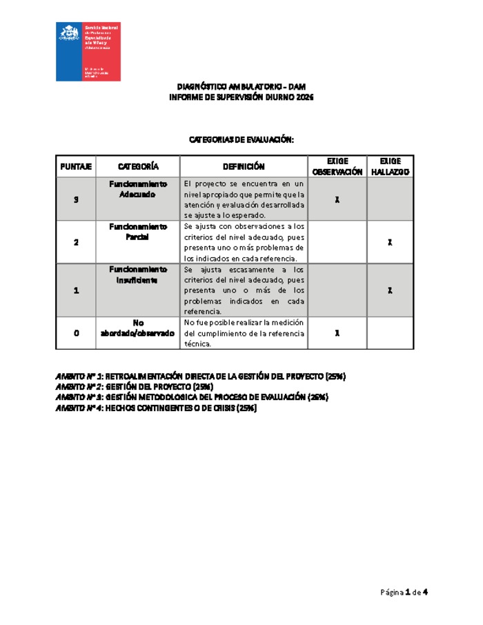 Informe de Supervisión Diurno 2026 - Diagnóstico Ambulatorio (DAM)