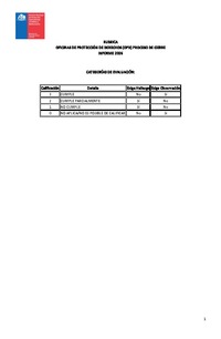 Rúbrica Informe de Supervisión 2026 - Cierre Oficinas de Protección de Derechos