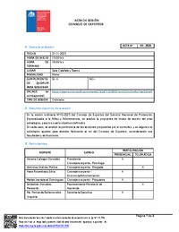 Acta Sesión N°10-2025 Consejo de Expertos