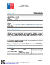 Acta Sesión N°11-2025 Consejo de Expertos