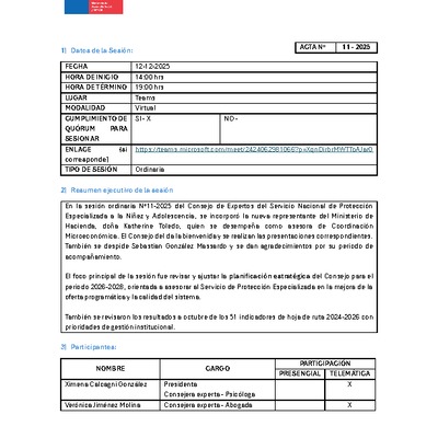 Acta Sesión N°11-2025 Consejo de Expertos