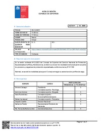 Acta Sesión N°12-2025 Consejo de Expertos