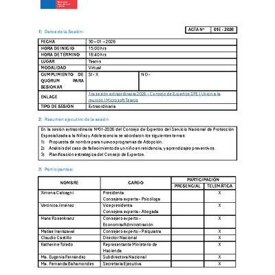 Acta Sesión N°01E - 2026 Consejo de Expertos